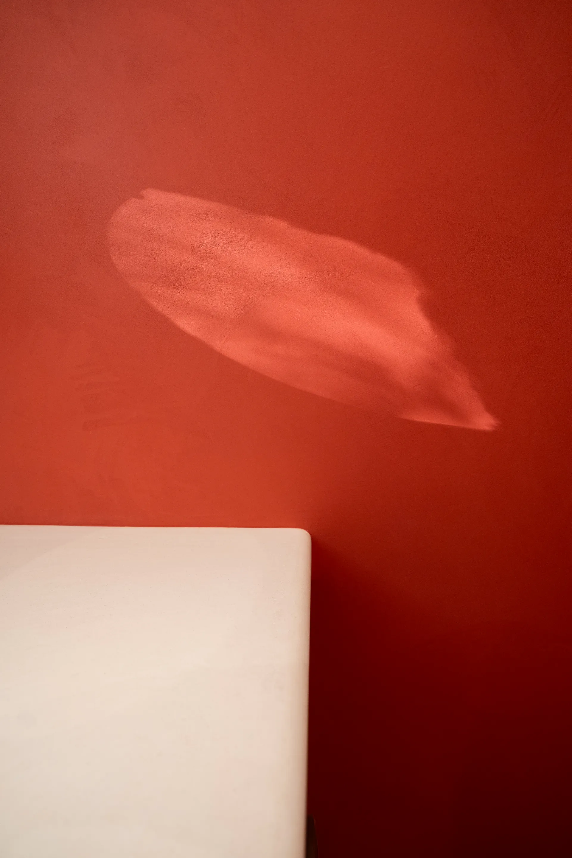 Mur en béton ciré intérieur